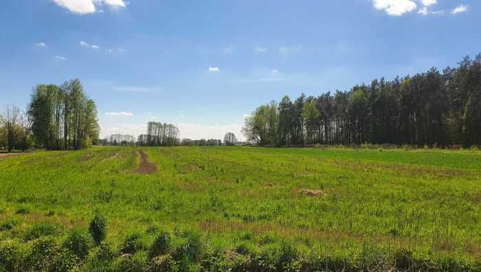 Działka budowlana 1000m2 w Zbuczynie, 15 km od Siedlec.