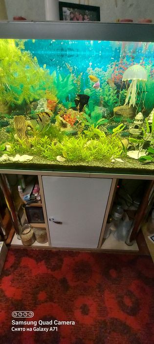 Аквариум с рыбками, с тумбой.