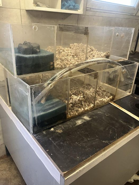 Ємність для вирощування риб,раків,креветок.Б/У Розпродаж