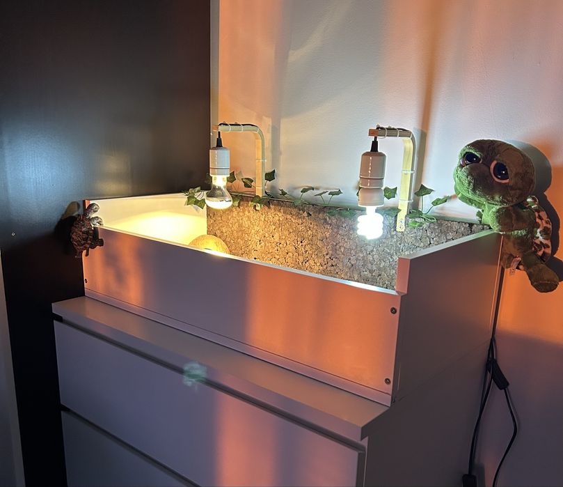 Terarium dla żółwia lądowego