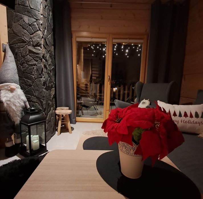 Domki w górach na wynajem / jakuzzi/Nowy Targ /Święta/Ferie