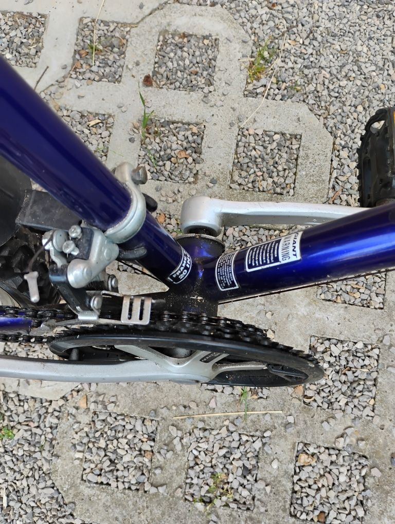 Rower giant gsr 100