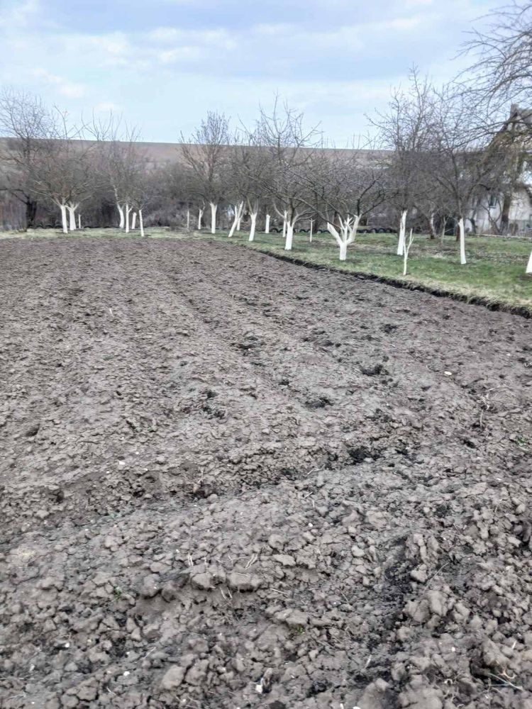 Продаж земельноі ділянки