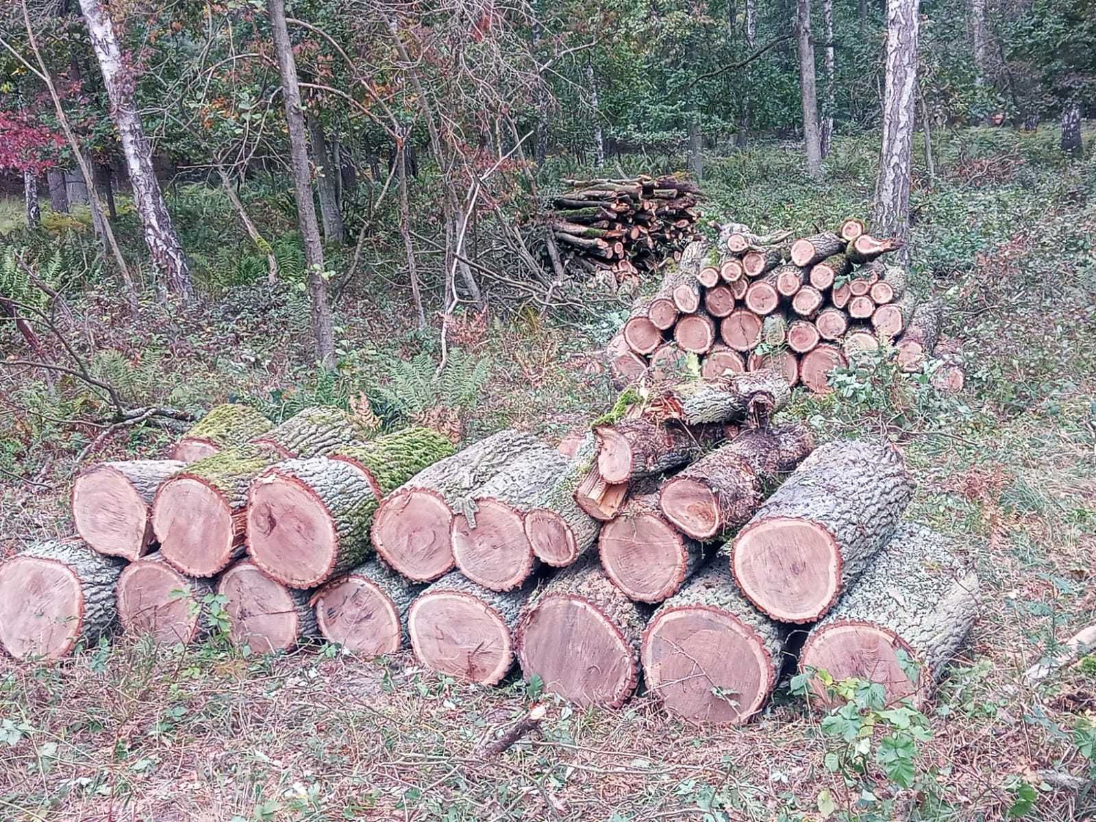 sprzedaż drewna opałowego