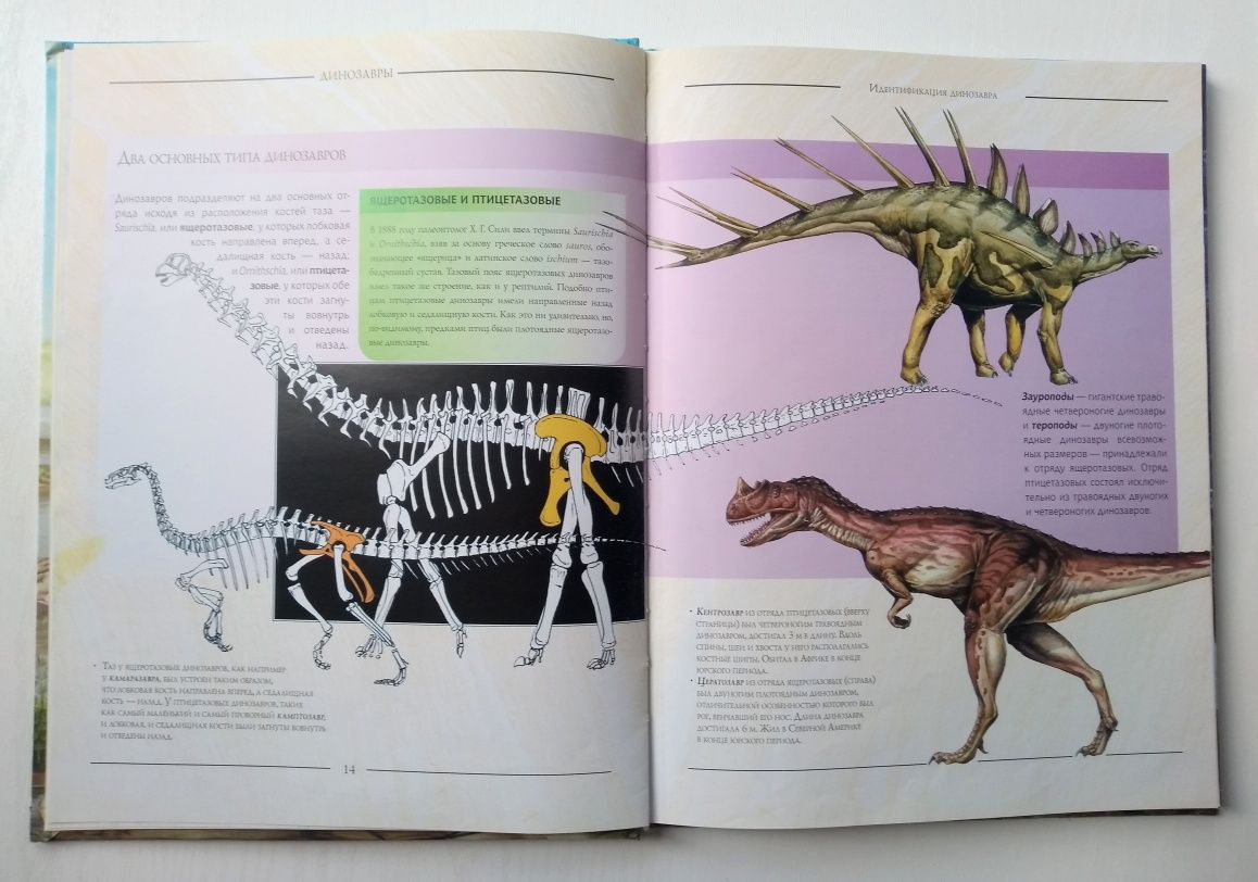 Иллюстрированная энциклопедия динозавров.