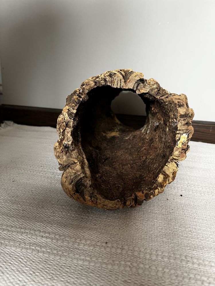 Tuba korkowa do terrarium