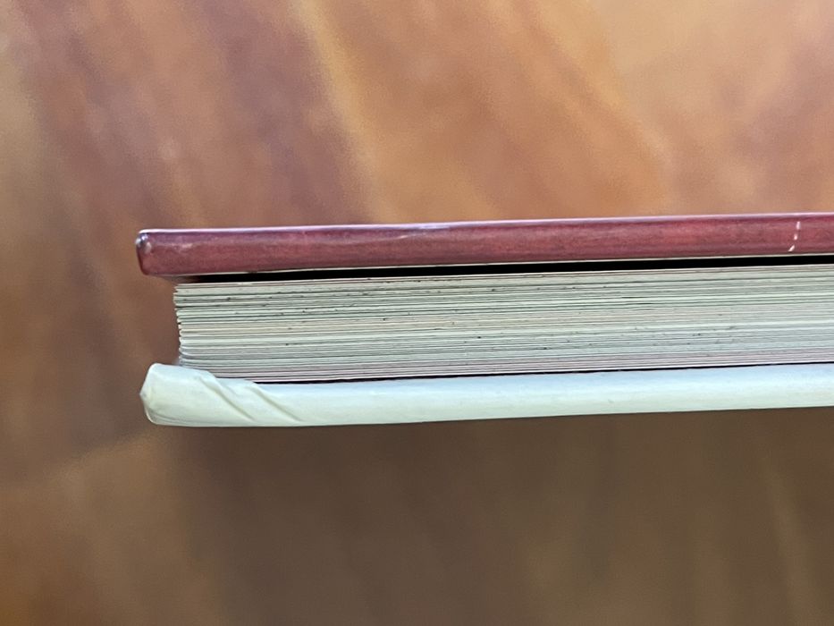 Livro Princesas ilustrado por Rebecca Dautremer