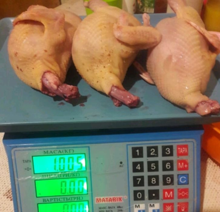 Перепелиное мясо (свежие и копчёные)