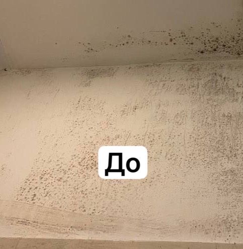 ‼️Удаление грибка - удаление плесени , Озонирование грибка , плесени