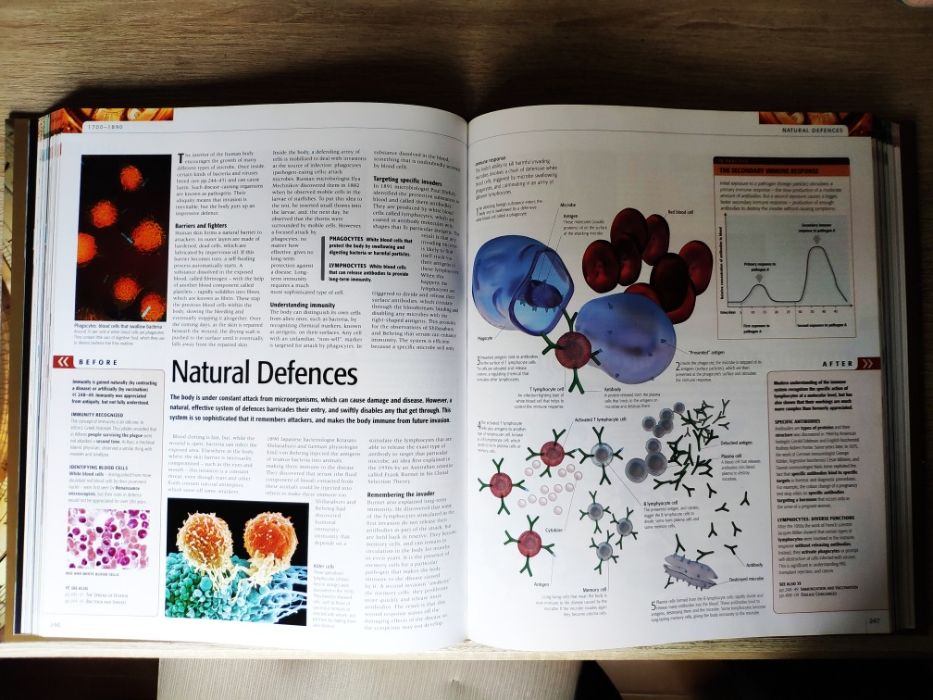 Science : The Definitive Visual Guide - Adam Hart-Davis
