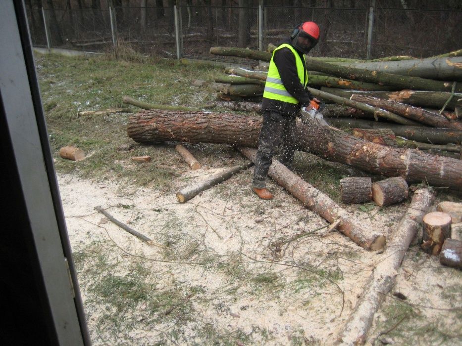 Drewno opałowe: sosna, świerk, modrzew, lipa, osika w klockach 30 cm.