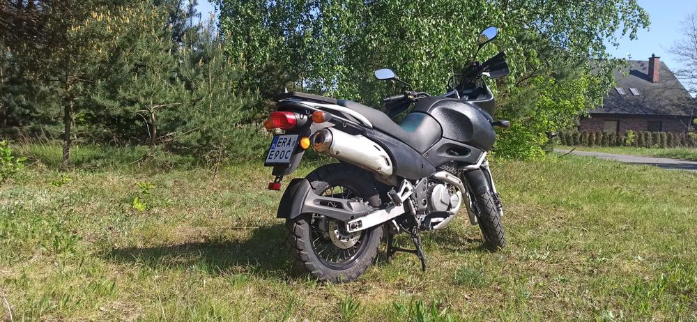 Suzuki xf 650 freewind