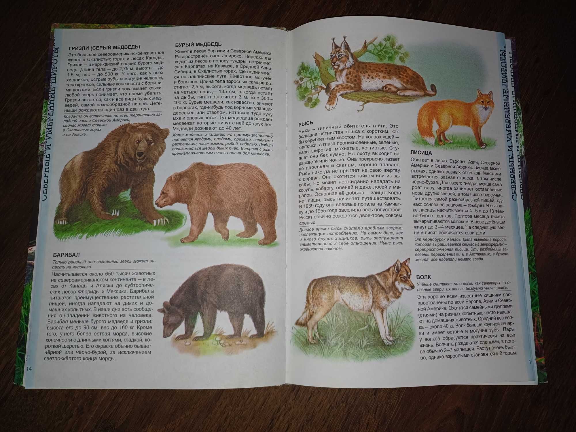 Энциклопедия животных (по материкам)