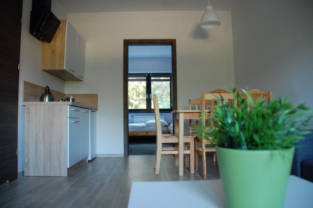 pokoje apartamenty z klimatyzacją noclegi Wieleń nad jeziorem