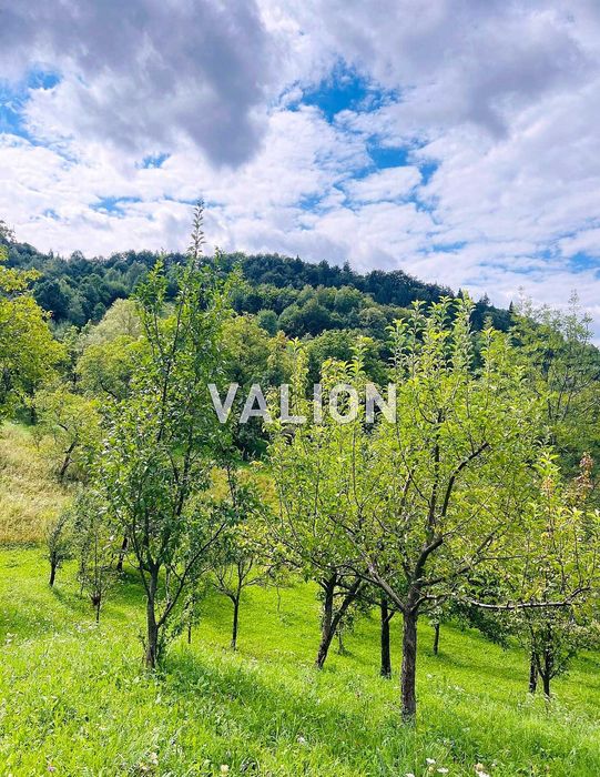 Без % Продаж будинку з ділянкою 0,60 га с. Міжброди, Чернівецька обл.