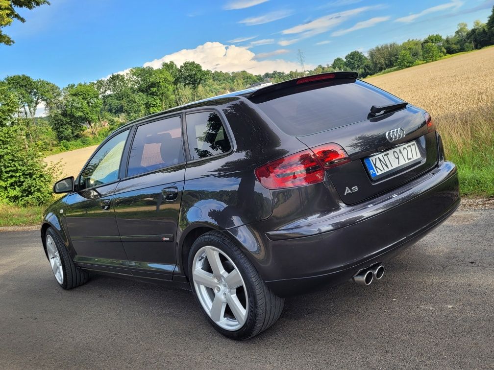 Audi A3 8P 1.9 TDI S-Line Alcantara Xenon NOWE CZĘŚCI!