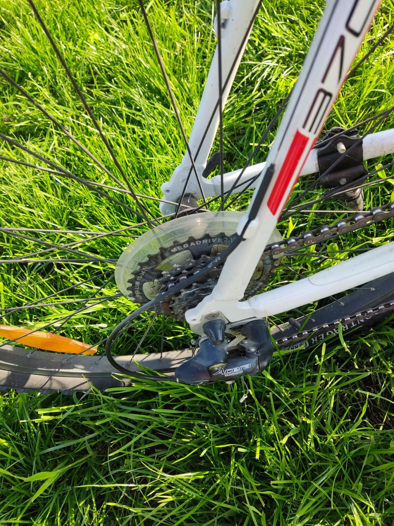 Trek series alpha