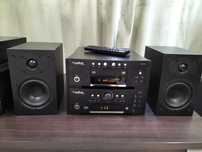 Wieża FineArts M100R M100-CD Pilot Grundig