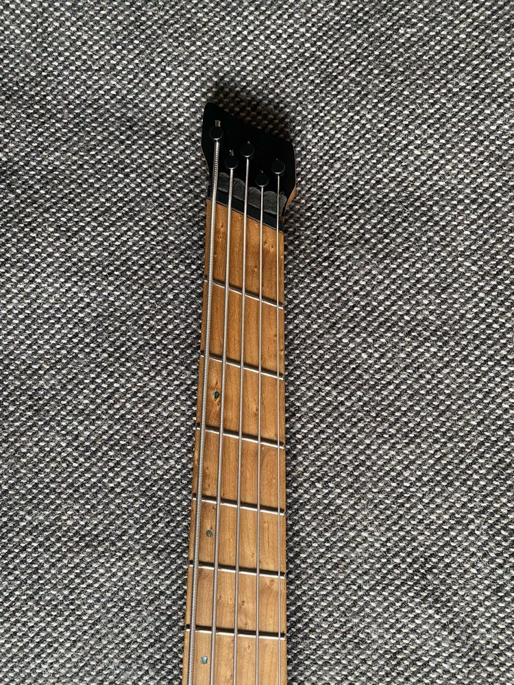 Ibanez ehb1005 sms (multiscale)