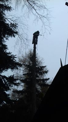 Wycinka Pielęgnacja Drzew rębak czyszczenie dział. Alpi Mielenie TANIO