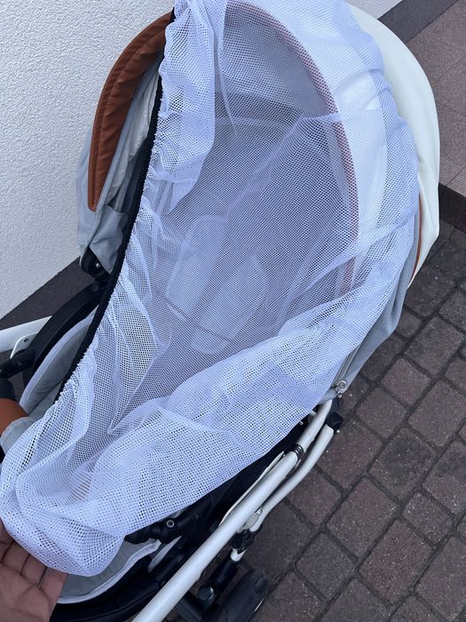 Wózek dziecięcy 2 w 1 Coletto Florino gondola, spacerówka