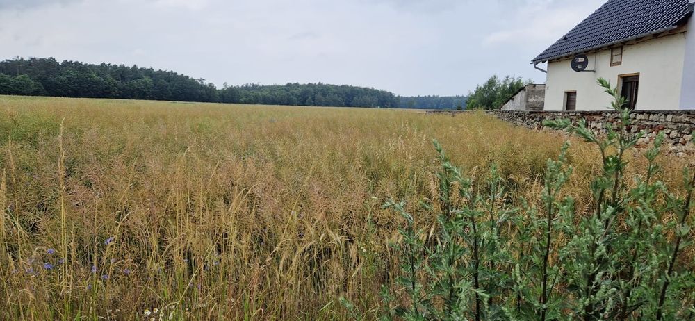 Działka budowlana Kamionek 3769m² z MPZP