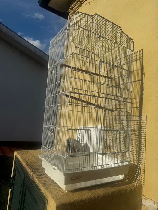 Gaiola grande semi nova.