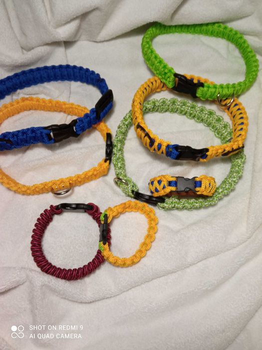 Ошейники для собак и кошек