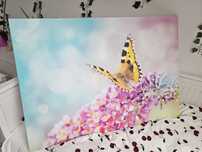 -= O K A Z J A =- MOTYL obraz drukowany