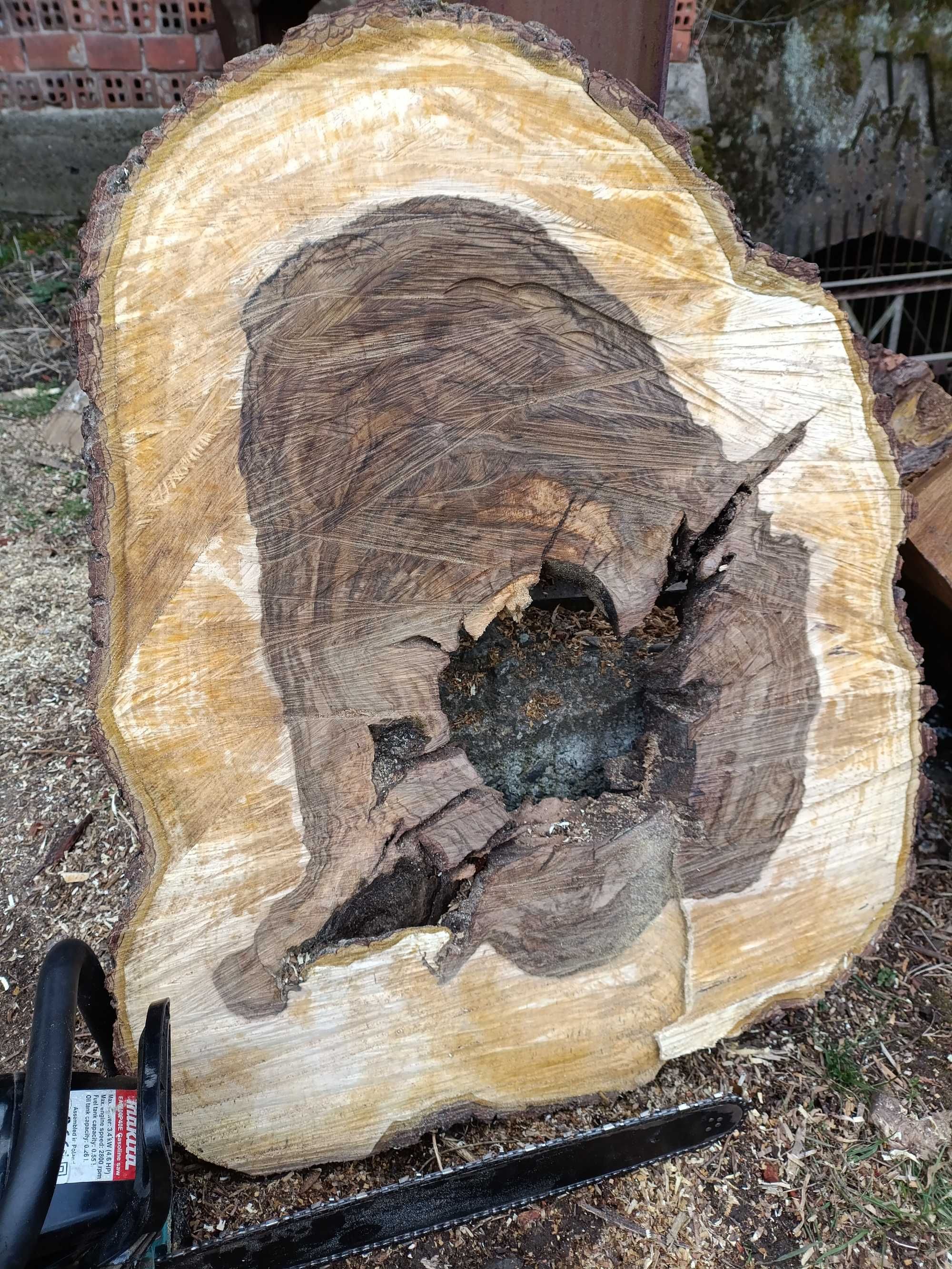 Sleb Морений дуб ,стол река.Слеб.bog oak.