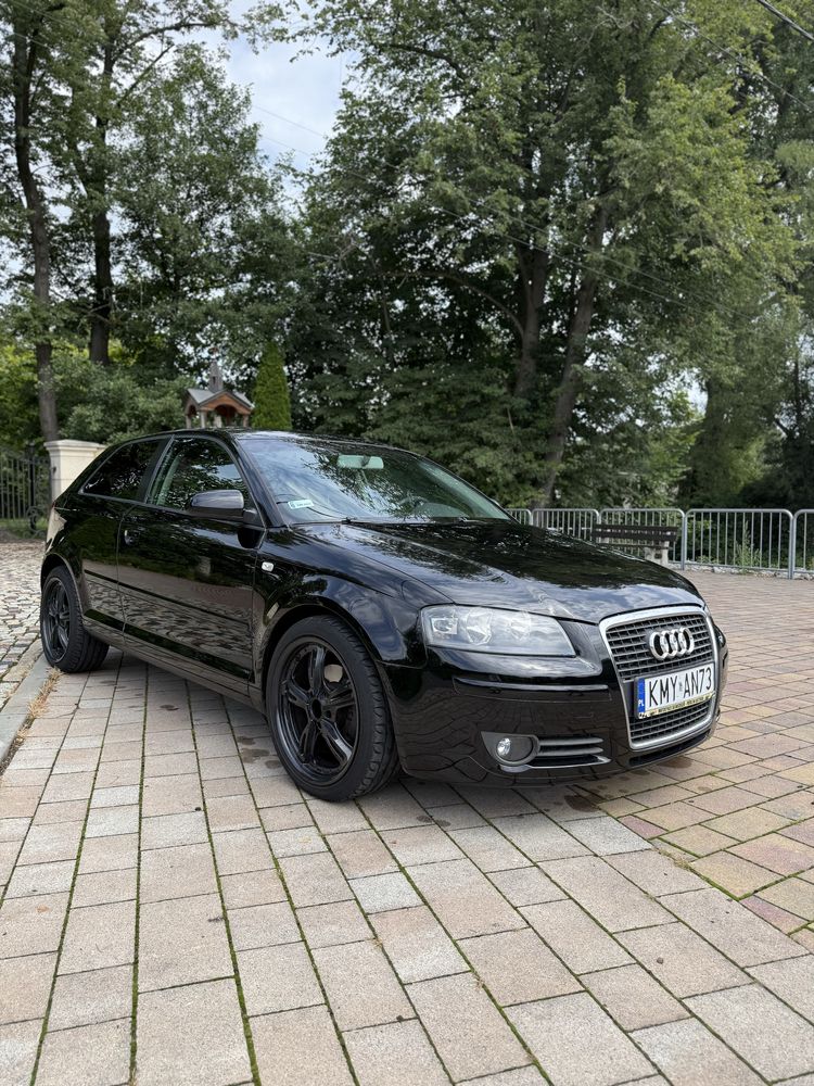 Audi A3 8P 3D 1.9 TDI