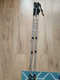 Kijki do nordic walking