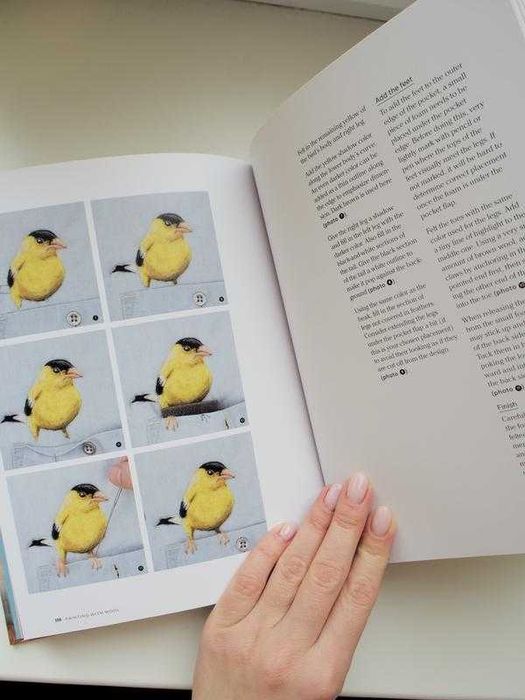 Книга по валянню Painting with Wool (Dani Ives), англійська мова