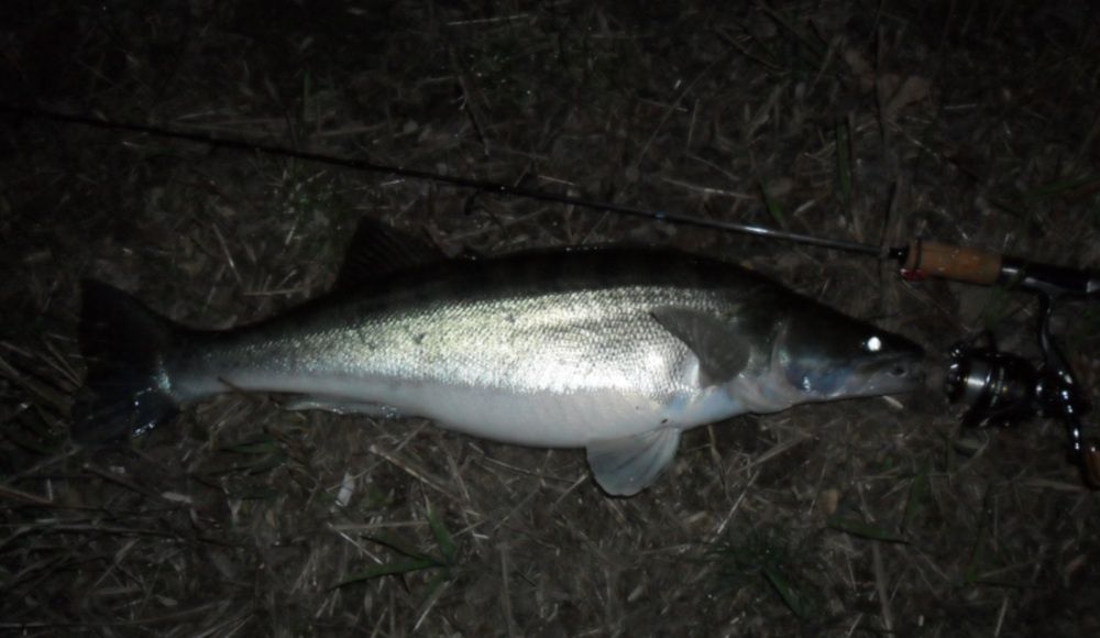 Mikro, micro jigi   zestaw 10 szt