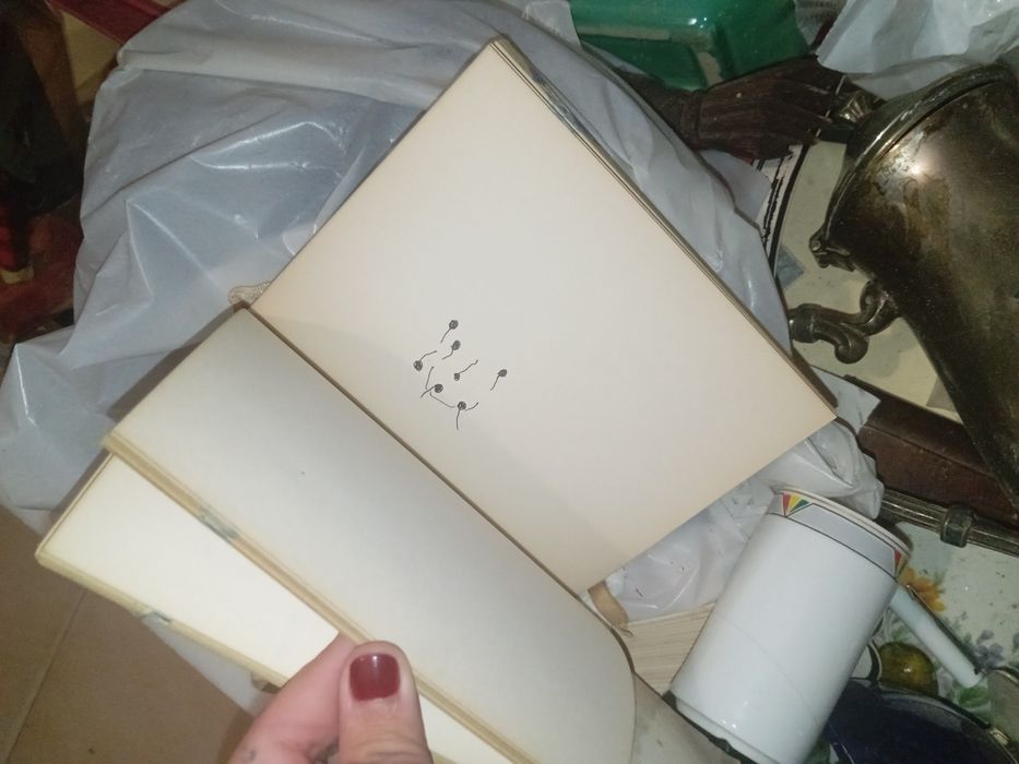 Desenho s do Fernando Jorge com defeito. A capa e bloco