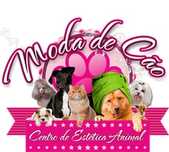 Promoção Tosquia Cão c/Banho vagas  Lojas Lumiar e Odivelas