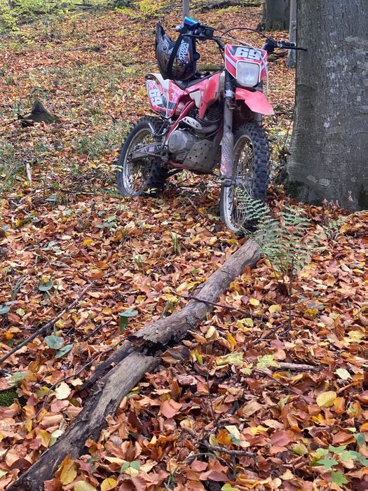 Продам чікавй обмін