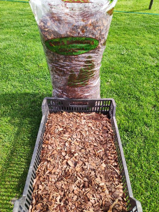 Kora antracytowa 15-30