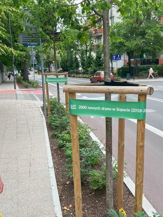 Paliki do drzewek poprzeczki kołki taśma do wiązania