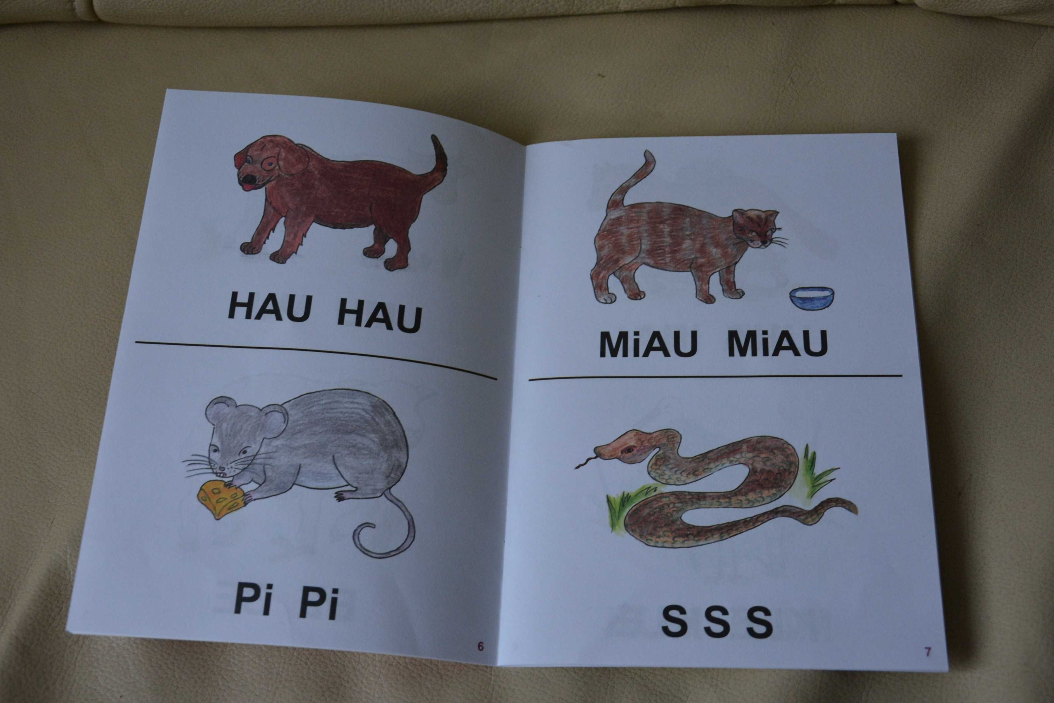 Słucham i uczę się mówić. Wyrażenia dźwiękonaśladowcze plus płyta cd.