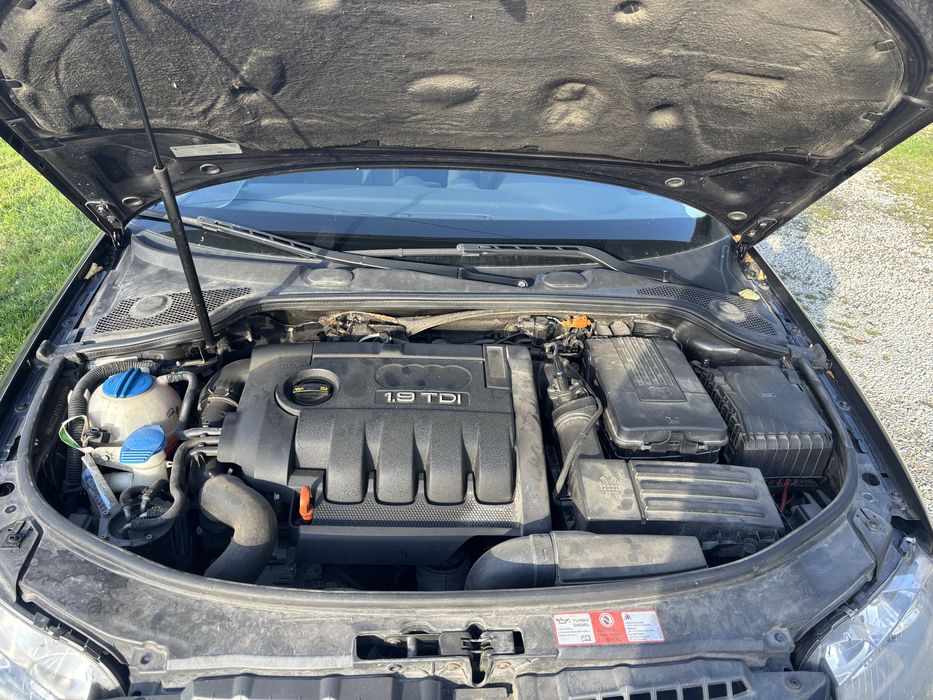 Audi A3 8P 1.9Tdi 2007