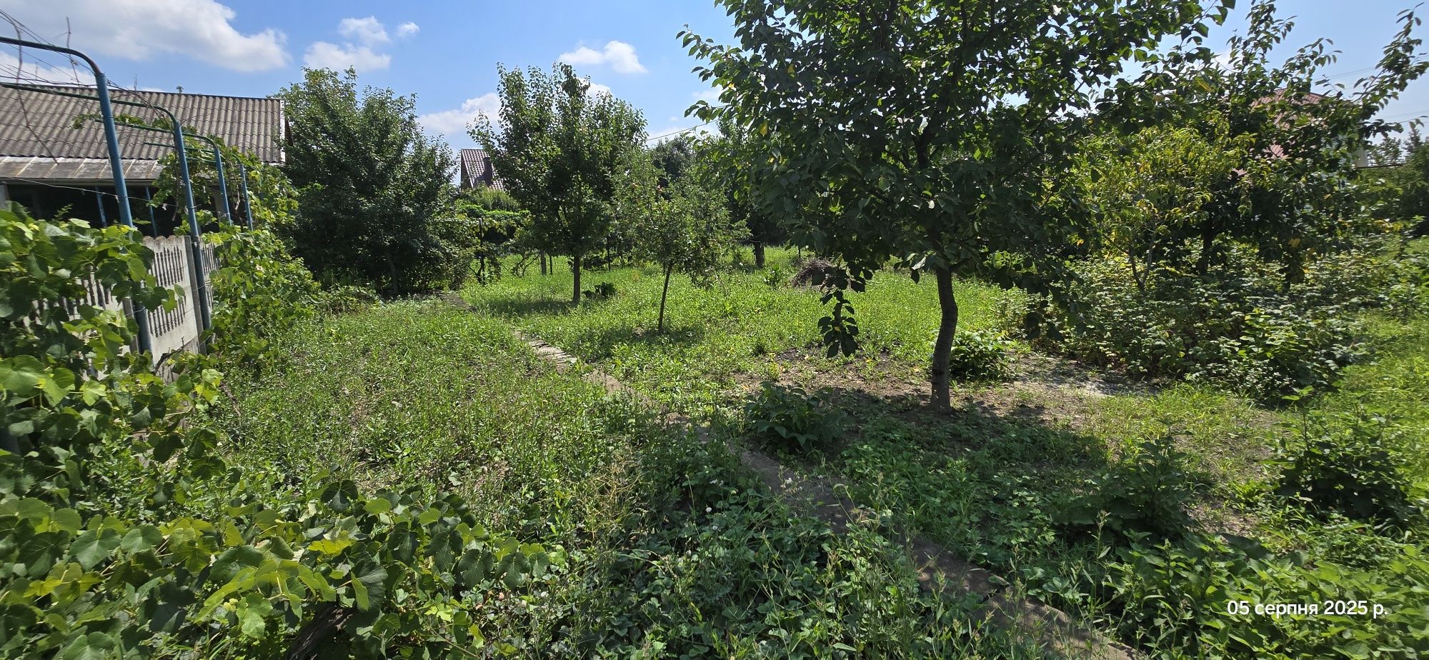 Продам  будинок хороший в Новоселиці
