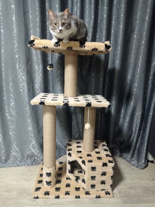 Будинок для кота, кішки , кошеня. ког