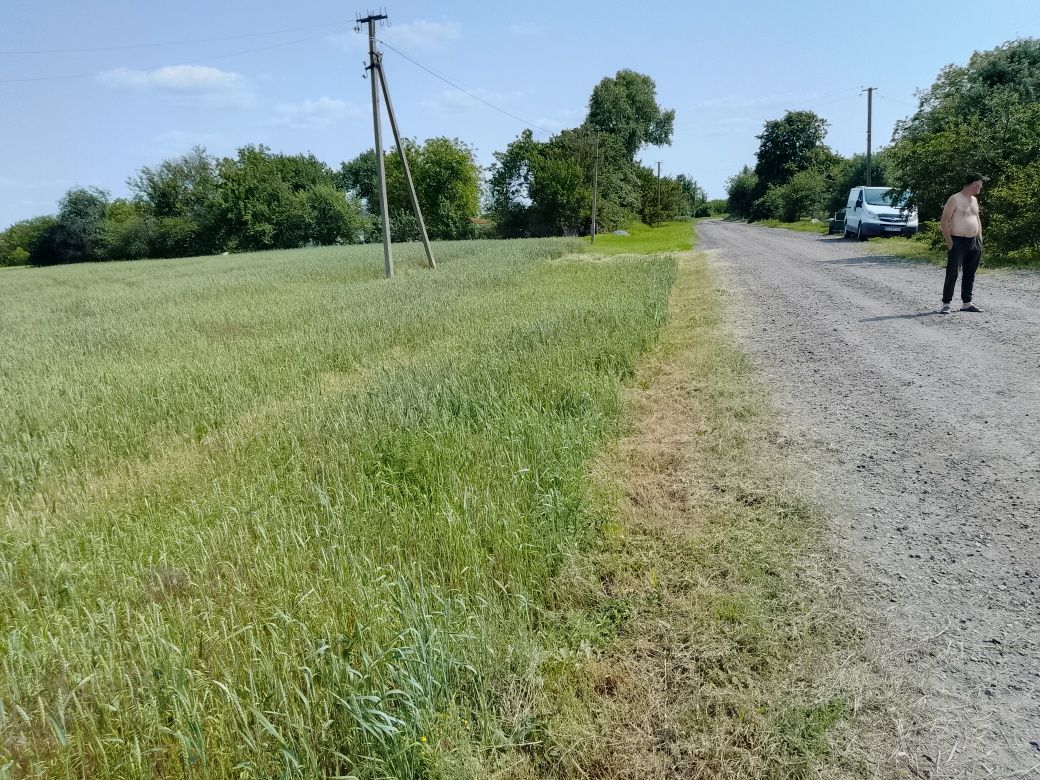 Продам хату домик(2-две) с участками Новая  Галещина