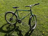 Rower Arkus w kolorze zielonym
