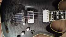 Vendo Schecter C1 Custom