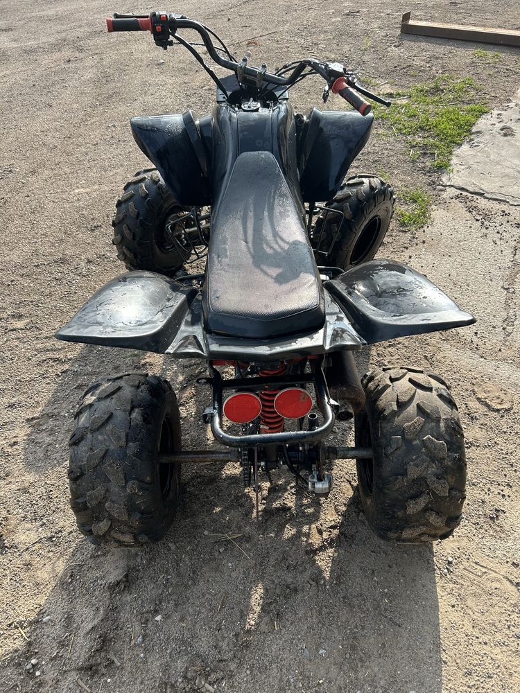 Quad bashan  250
