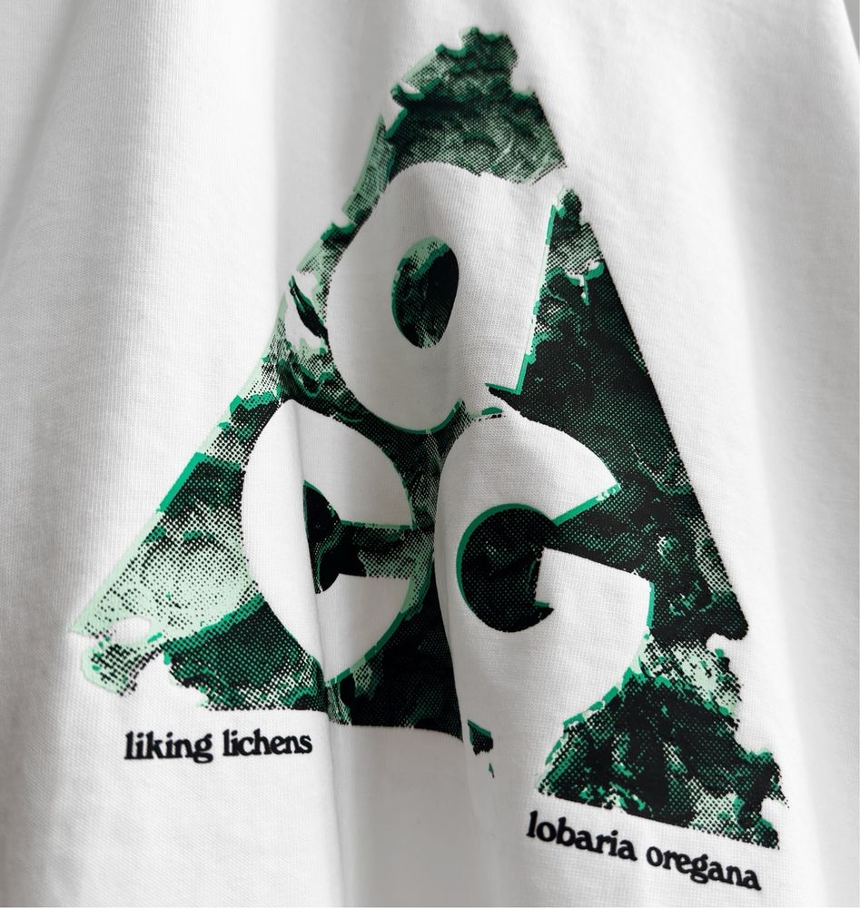 Футболка Nike ACG Northwest's Cascade Mountain Range Tee (loose fit)