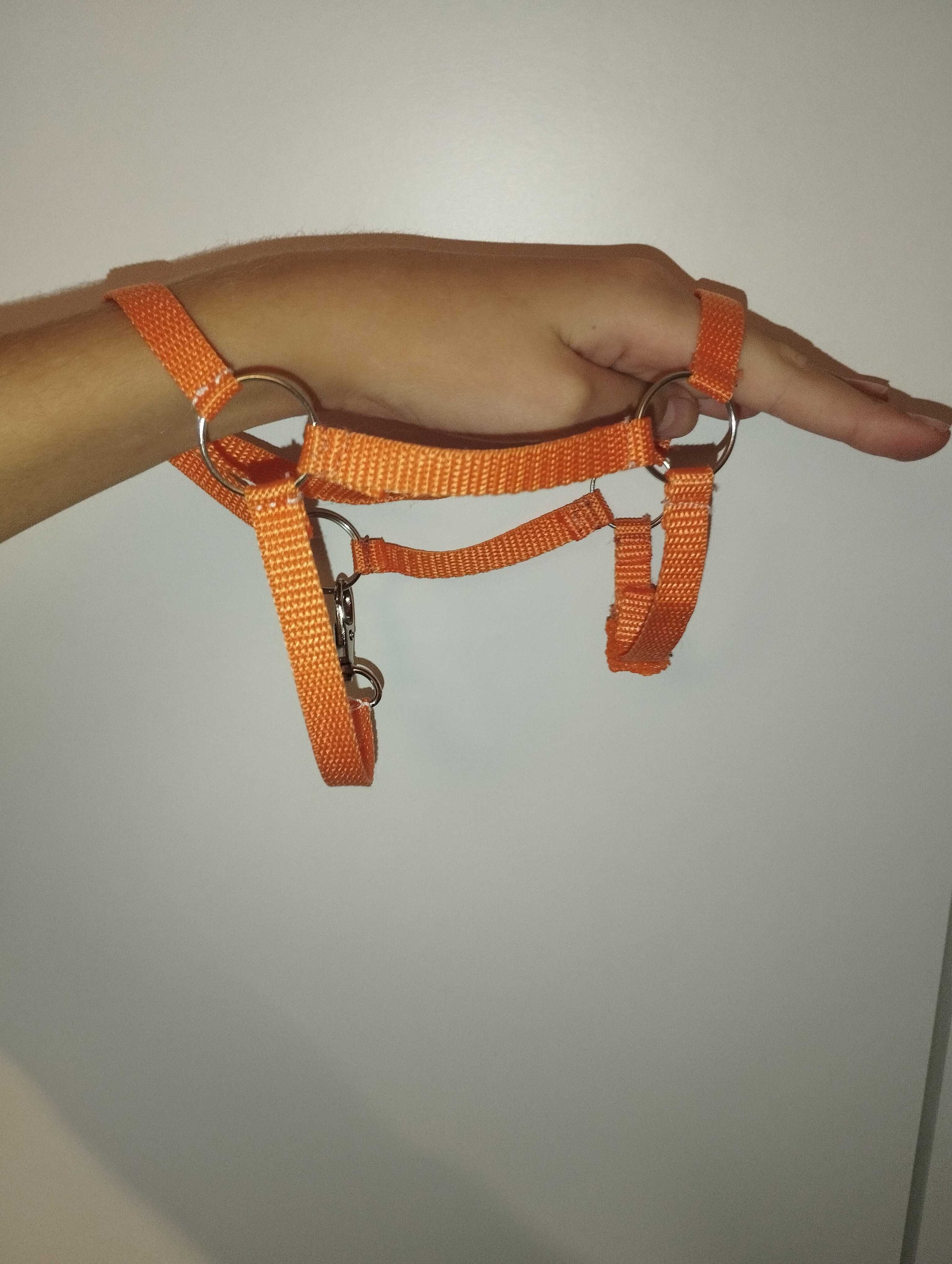 Jesienna kolekcja hobby horse Derka i kantar