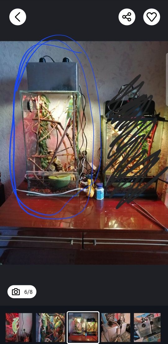 Продам терраріум зі скла 30*30*60